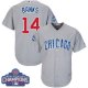 Chicago Cubs #14 Ernie Banks Grey Road 2016 World Series Champions Stitched Youth MLB Jersey