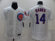 Men's Nike Chicago Cubs #14 Ernie Banks White Flex Base MLB Stitched Jersey