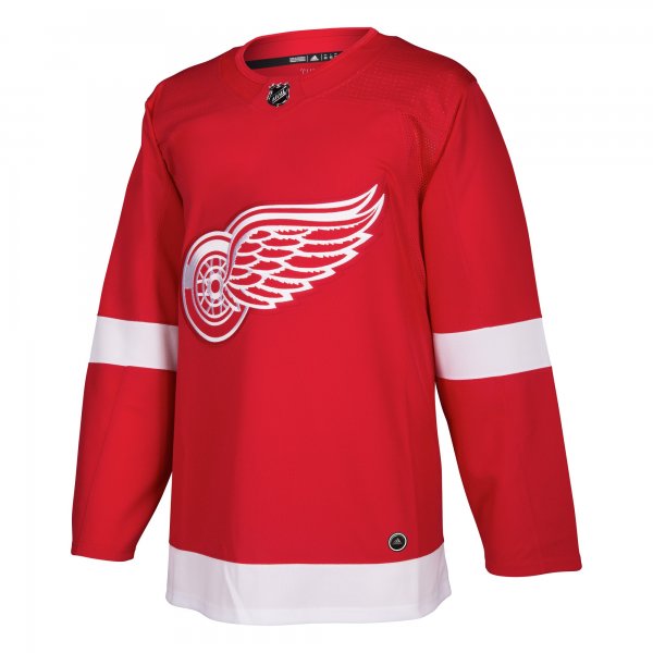 Men's Detroit Red Wings adidas Red Home Blank Jersey