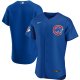 Men's Chicago Cubs Nike Royal Alternate Team Jersey