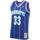 Men's Charlotte Hornets Alonzo Mourning Mitchell & Ness Purple 1994/95 Hardwood Classics Swingman Jersey