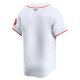 Youth Houston Astros Nike White Home Limited Jersey