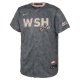 Youth Washington Nationals Nike Gray City Connect Replica Jersey