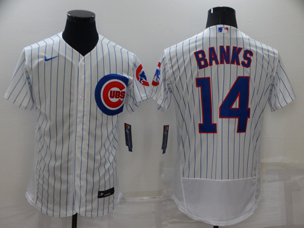 Men's Nike Chicago Cubs #14 Ernie Banks White Flex Base MLB Stitched Jersey