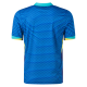 Nike Mens Brazil Away Jersey 24/25 (Soar/Dynamic Yellow)