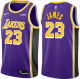 Men's Nike Los Angeles Lakers #23 LeBron James Nike Purple 2018-19 Swingman Statement NBA Jersey