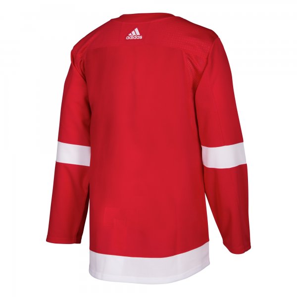 Men's Detroit Red Wings adidas Red Home Blank Jersey