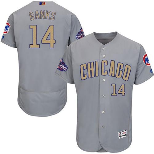 Chicago Cubs #14 Ernie Banks Grey Flexbase 2017 Gold Program Stitched MLB Jersey